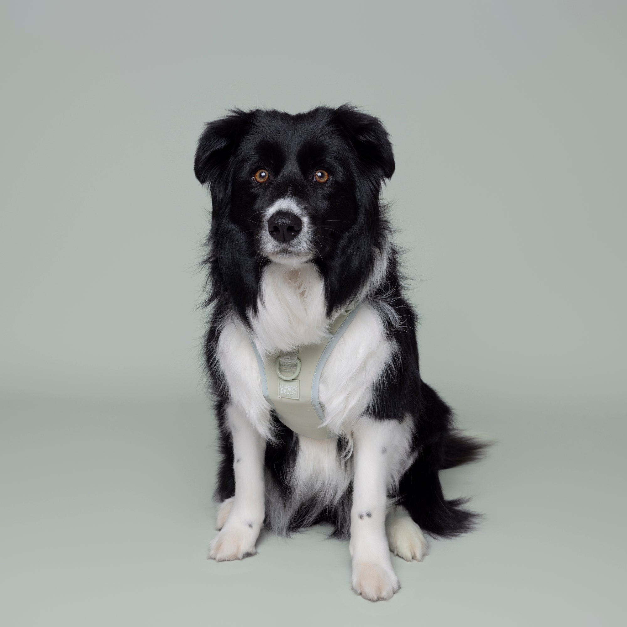 No Pull Dog Adjustable Harness Green Mint