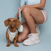 No Pull Dog Adjustable Harness Green Mint