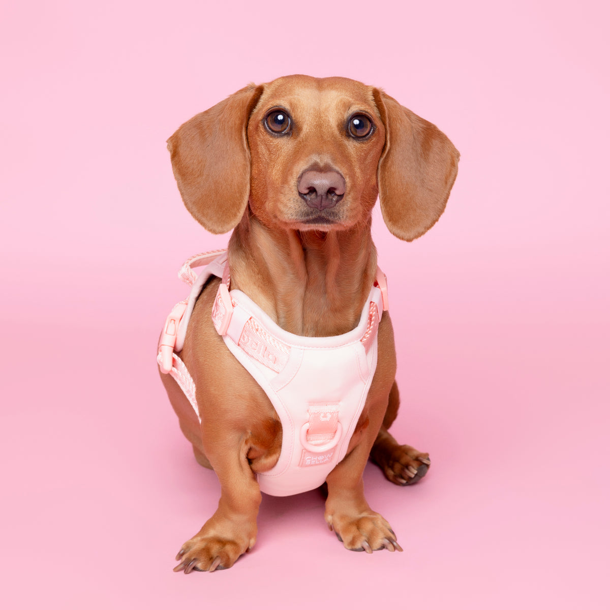 No Pull Dog Adjustable Harness Pink Peach
