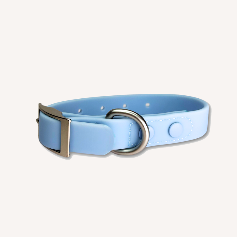 Waterproof Dog Collar Blue