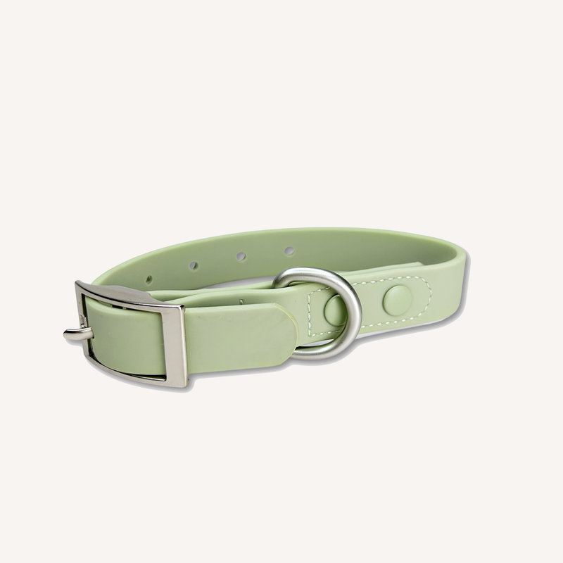 Waterproof Dog Collar Mint Green