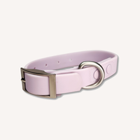 Waterproof Dog Collar Purple Lavender