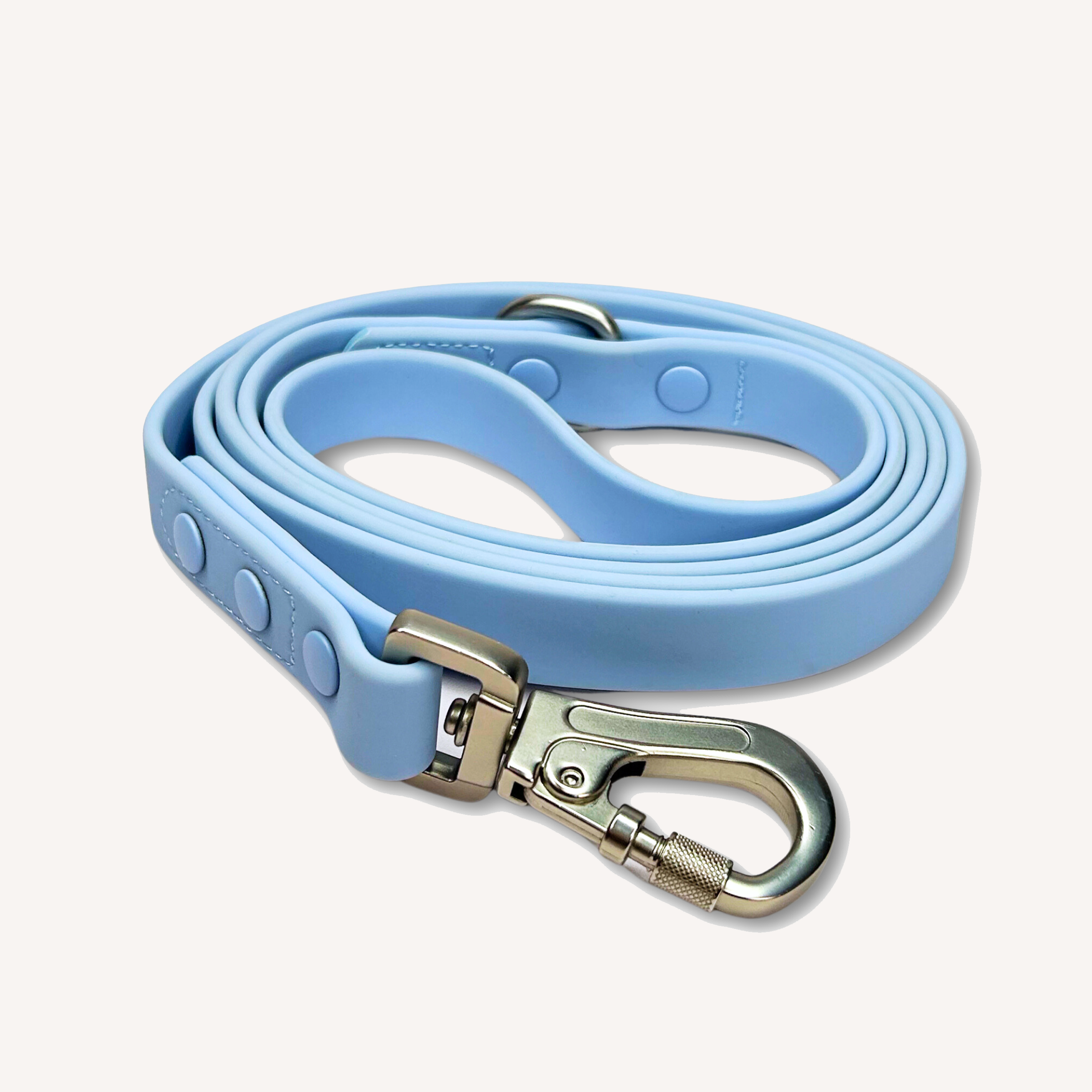 Waterproof Dog Leash Blue