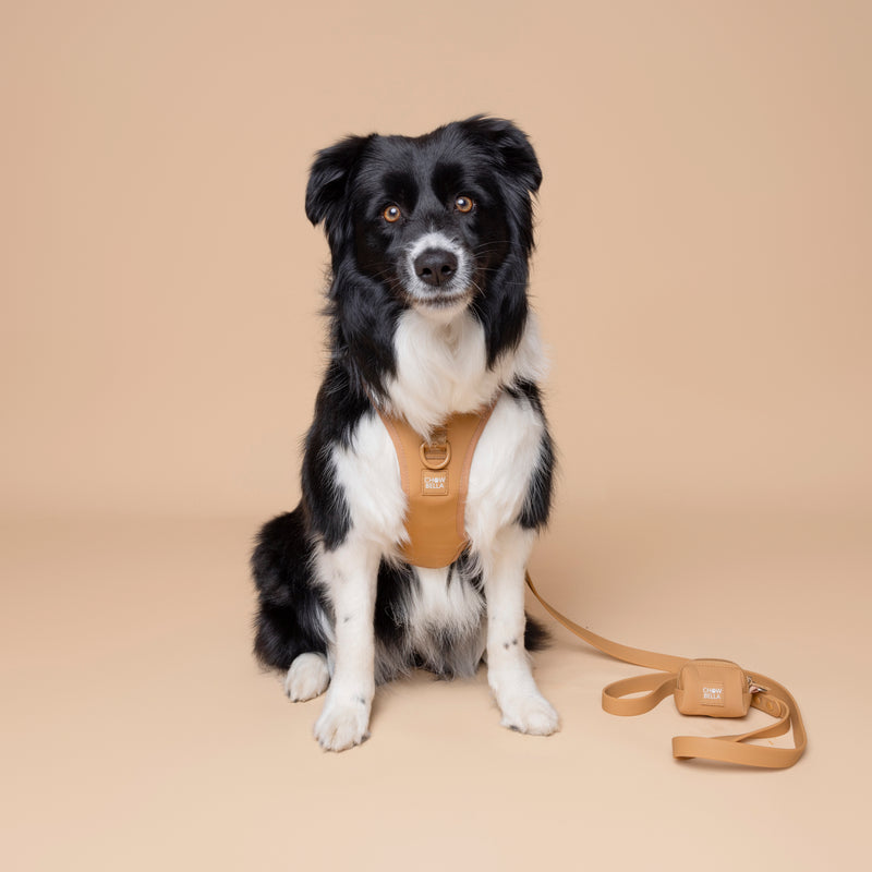 Waterproof Dog Leash Tan Brown