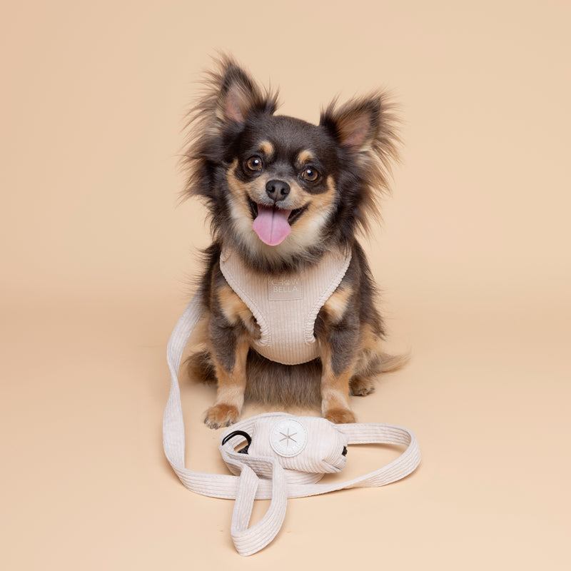 Corduroy Harness - Beige